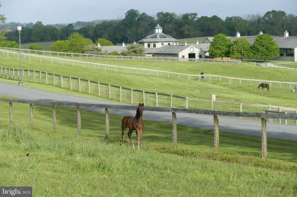 1089 NESBITT RD, Colora, MD 21917