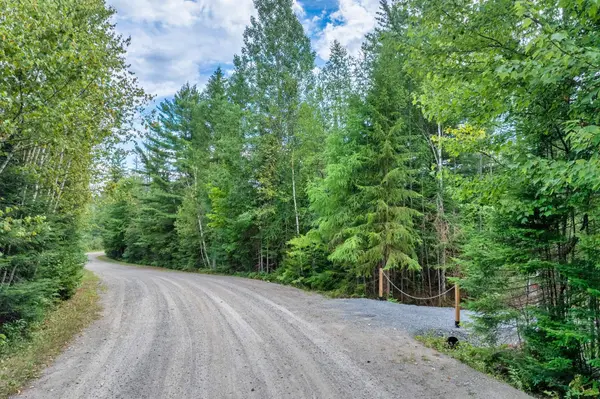 53 Ch. Irène, Lac-supérieur, QC J0T1J0