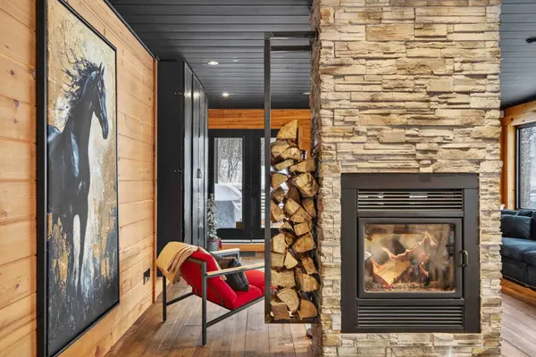 101 Rue du Mont-Joli, Saint-faustin/lac-carré, QC J0T1J2