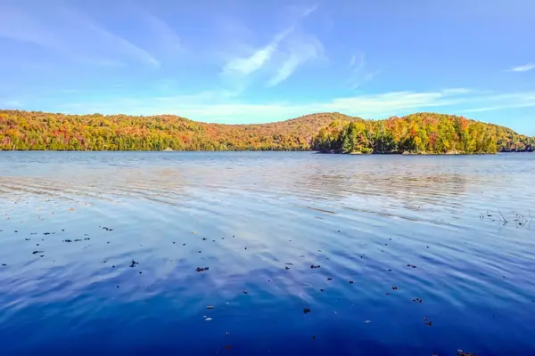 134 Ch. Dorken, Mont-tremblant, QC J8E1Y2