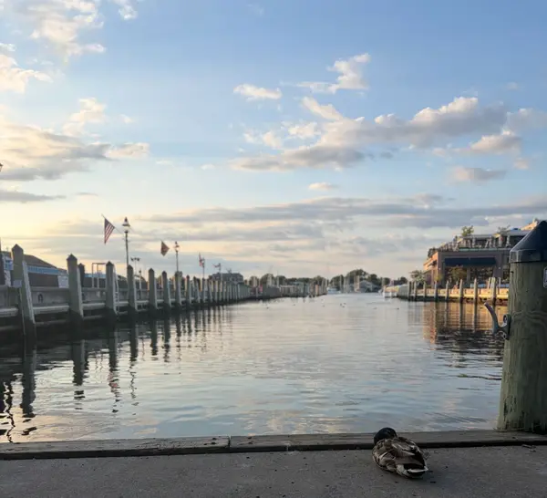 A Luxury Buyer's Guide to Annapolis: Best Marinas, Clubs and Neighborhoods for the Waterfront Lifestyle