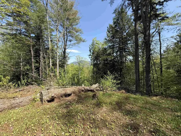 00 Senna RD, Cavendish, VT 05142