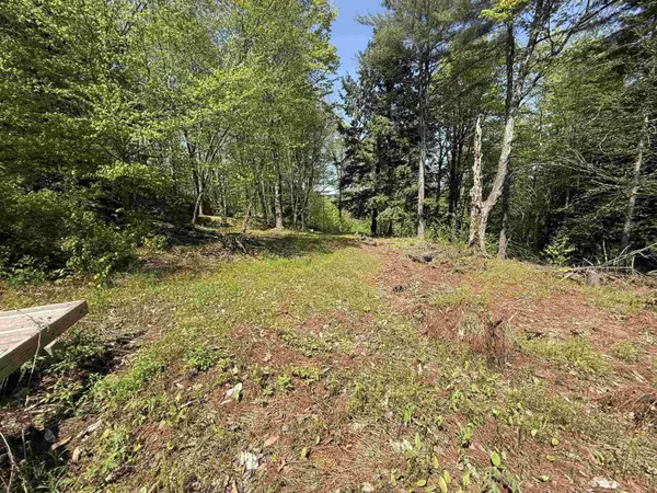 00 Senna RD, Cavendish, VT 05142