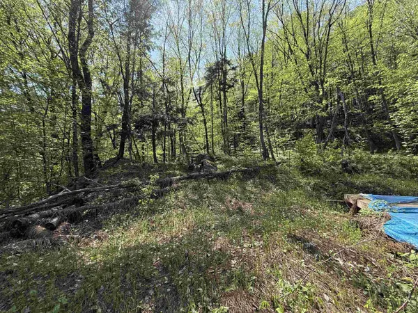00 Senna RD, Cavendish, VT 05142