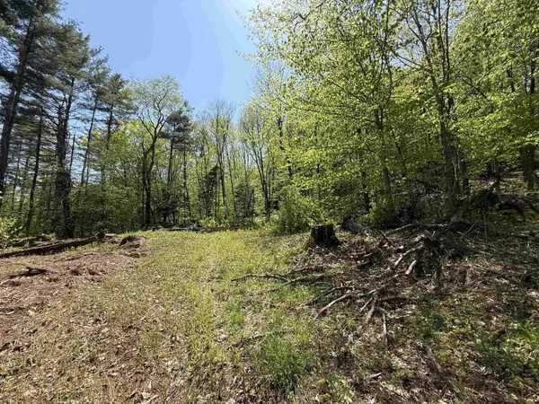 00 Senna RD, Cavendish, VT 05142
