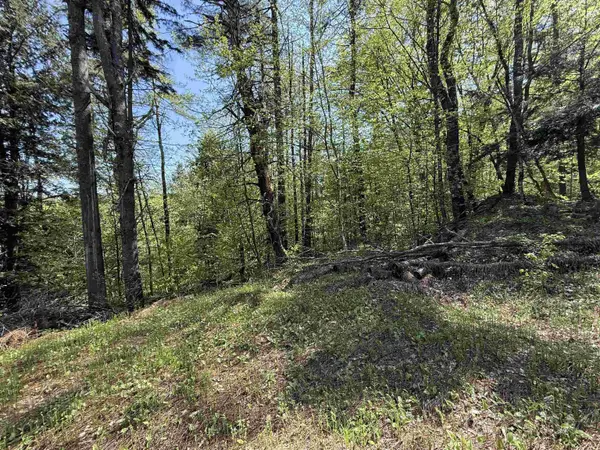 00 Senna RD, Cavendish, VT 05142