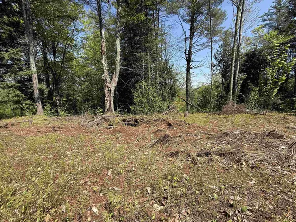 00 Senna RD, Cavendish, VT 05142