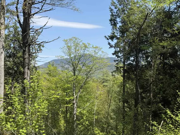 00 Senna RD, Cavendish, VT 05142