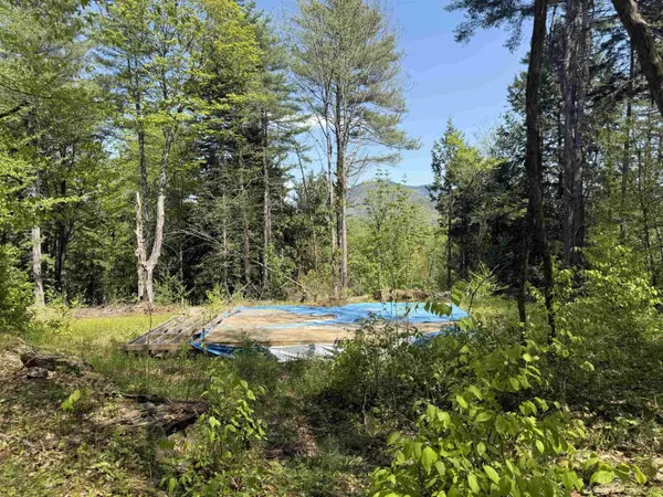 00 Senna RD, Cavendish, VT 05142