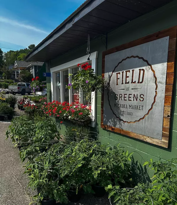 Field Of Greens