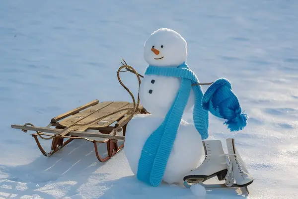 Winter Festivals in Muskoka (2026): Celebrate the Season in Cottage Country,Laura Stevens