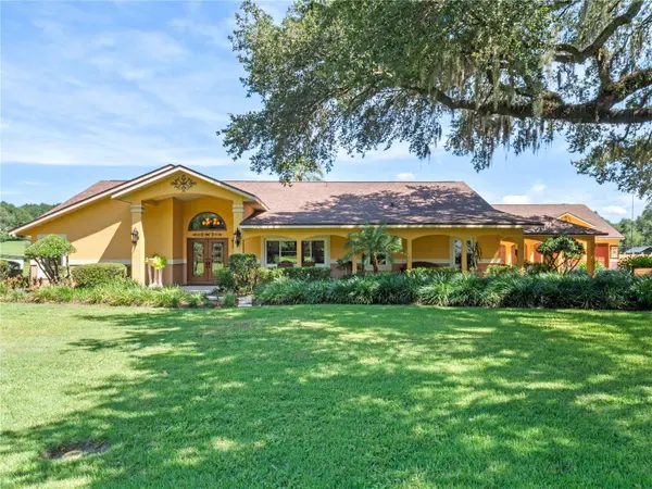 32133 WOLF BRANCH LN, Sorrento, FL 32776