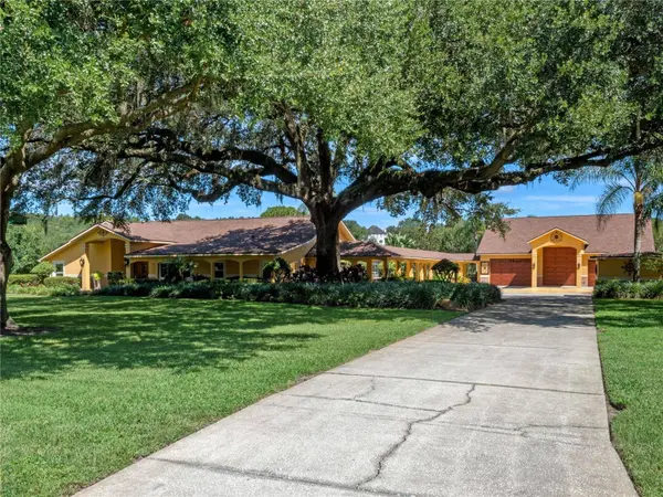 32133 WOLF BRANCH LN, Sorrento, FL 32776