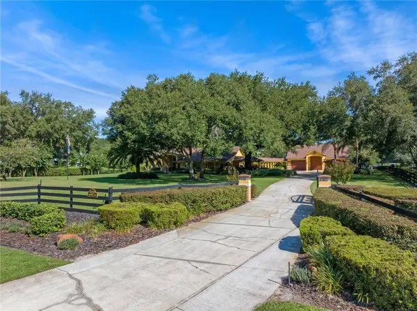 32133 WOLF BRANCH LN, Sorrento, FL 32776