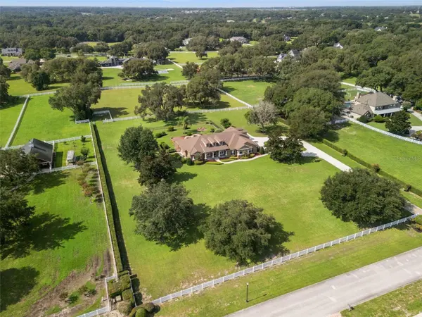 351 KENTUCKY BLUE CIR, Apopka, FL 32712