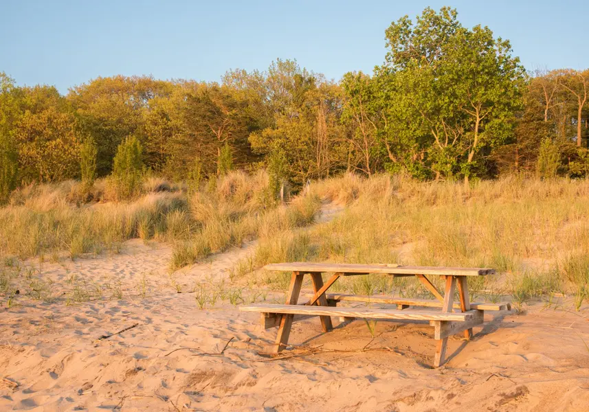 Dune Acres