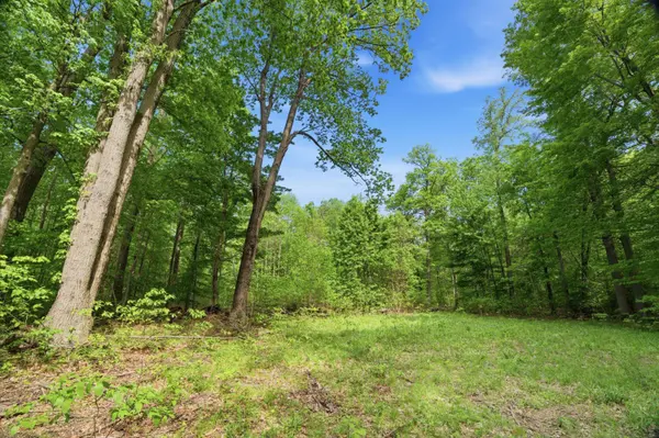 0 Red Arrow Highway, Lakeside, MI 49116
