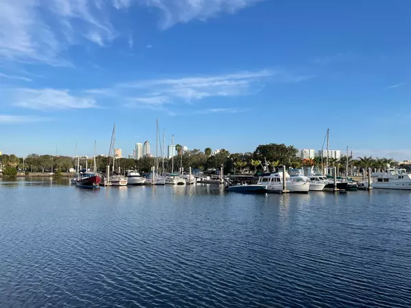 Where Luxury Buyers Are Finding Waterfront Value in South Tampa Right Now