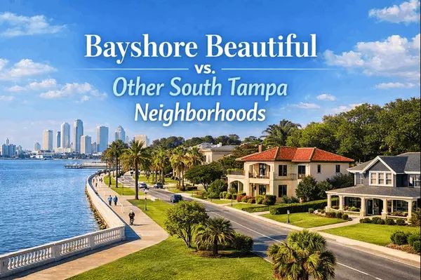 How Does Bayshore Beautiful Compare With Other South Tampa Neighborhoods?