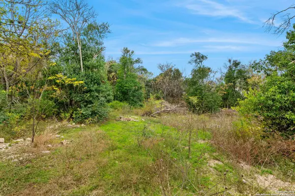 8226 Country Lane Court, San Antonio, TX 78209