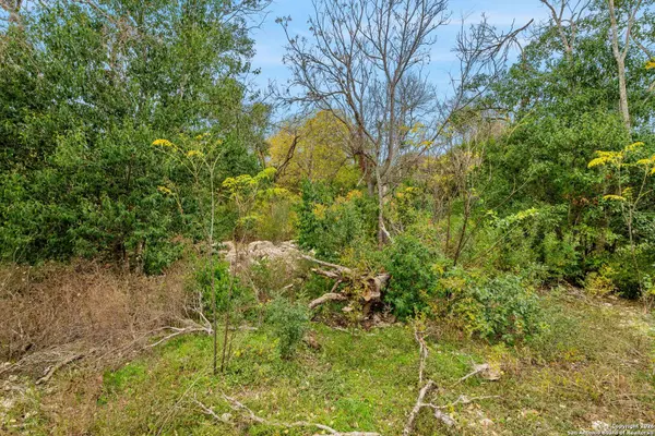 8222 Country Lane Court, San Antonio, TX 78209