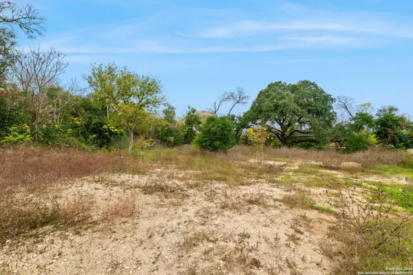 8226 Country Lane Court, San Antonio, TX 78209