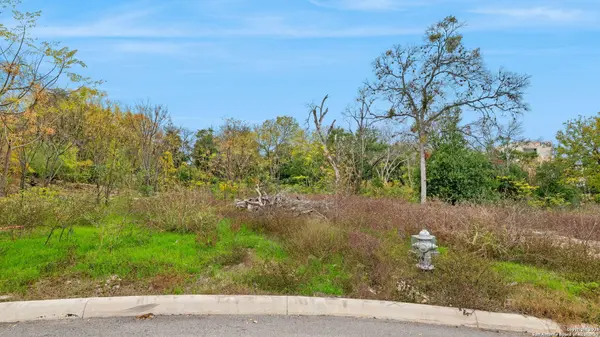 8222 Country Lane Court, San Antonio, TX 78209