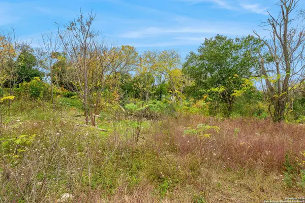 8222 Country Lane Court, San Antonio, TX 78209