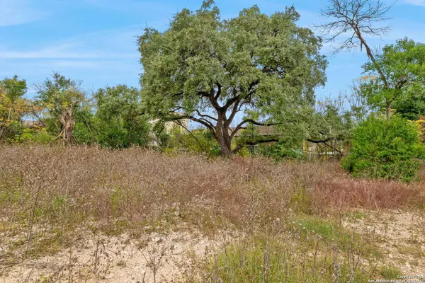 8226 Country Lane Court, San Antonio, TX 78209