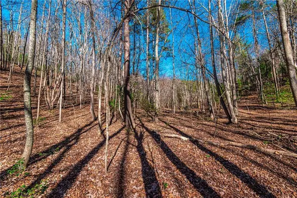 Lot 22 Meadow Brook TRL, Morganton, GA 30560