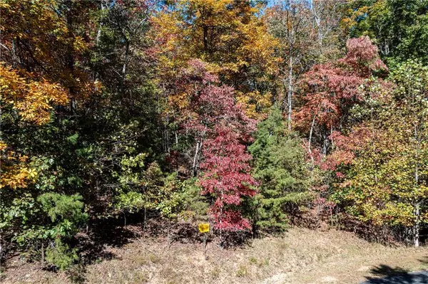 Lot 22 Meadow Brook TRL, Morganton, GA 30560