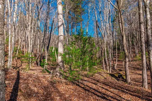 LOT 22 Meadow Brook TRL, Morganton, GA 30560