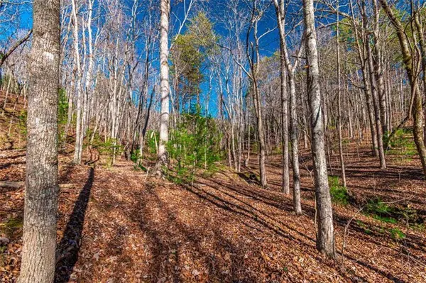 LOT 22 Meadow Brook TRL, Morganton, GA 30560