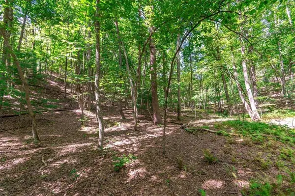 LOT 22 Meadow Brook TRL, Morganton, GA 30560