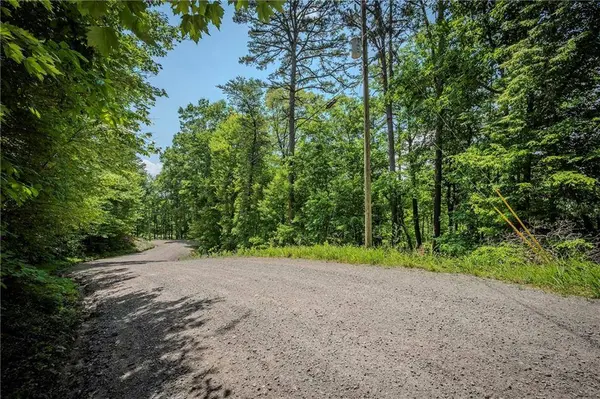 3.54AC Myna DR, Ellijay, GA 30540