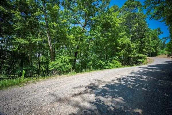 3.54AC Myna DR, Ellijay, GA 30540