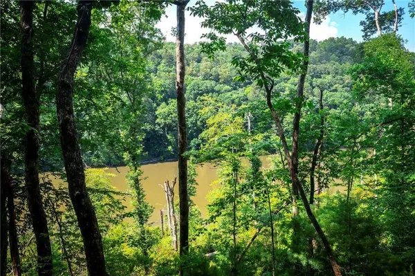 3.54AC Myna DR, Ellijay, GA 30540
