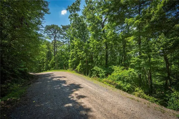 3.54AC Myna DR, Ellijay, GA 30540