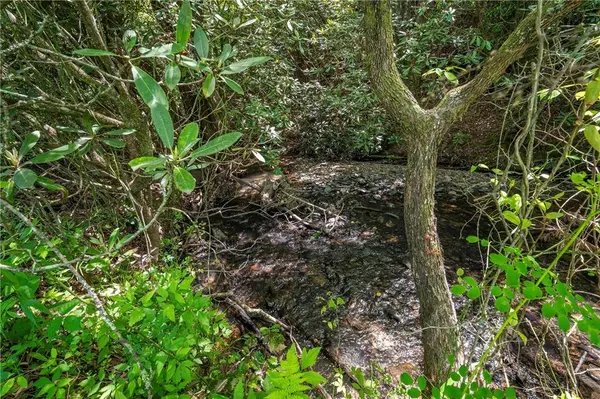 LT1-1A Jonica Gap RD, Mineral Bluff, GA 30559