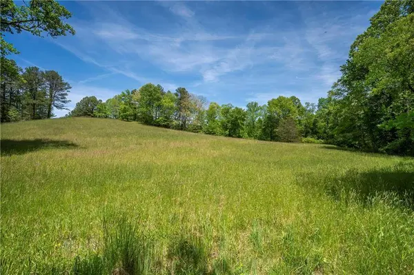 LT1-1A Jonica Gap RD, Mineral Bluff, GA 30559