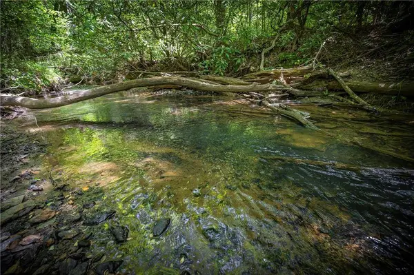 LT1-1A Jonica Gap RD, Mineral Bluff, GA 30559
