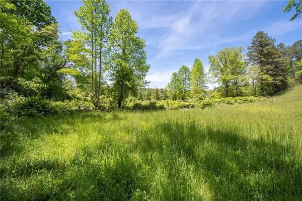 LT1-1A Jonica Gap RD, Mineral Bluff, GA 30559