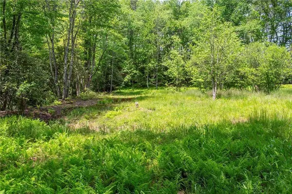 LT5-5a Jonica Gap RD, Mineral Bluff, GA 30559