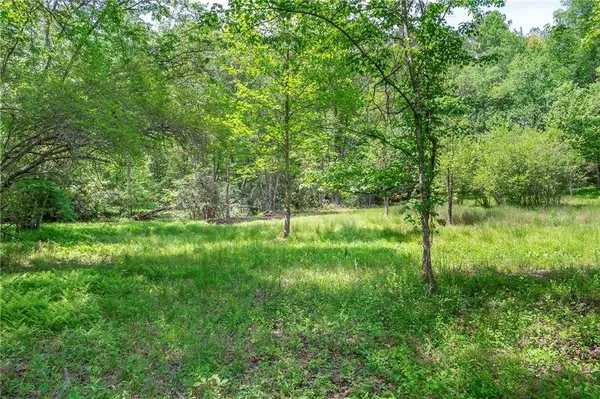 LT5-5a Jonica Gap RD, Mineral Bluff, GA 30559