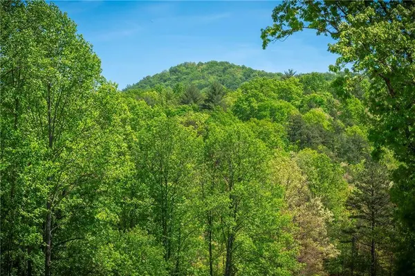 LT4-4a Jonica Gap RD, Mineral Bluff, GA 30559