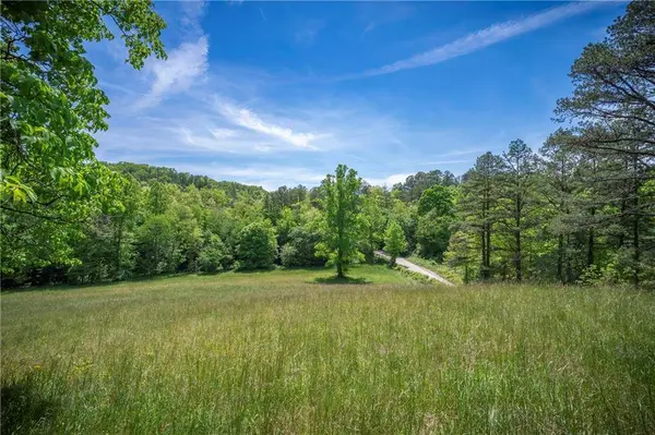 LT2-2a Jonica Gap RD, Mineral Bluff, GA 30559