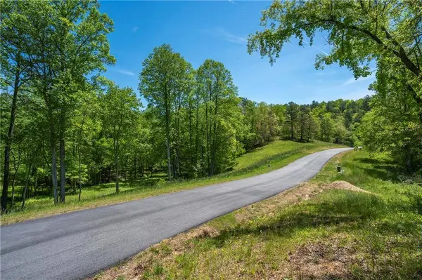 LT5-5a Jonica Gap RD, Mineral Bluff, GA 30559
