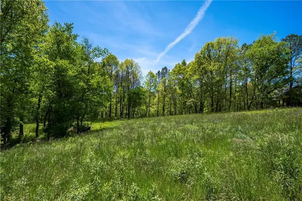 LT4-4a Jonica Gap RD, Mineral Bluff, GA 30559