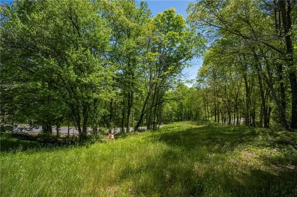 LT4-4a Jonica Gap RD, Mineral Bluff, GA 30559