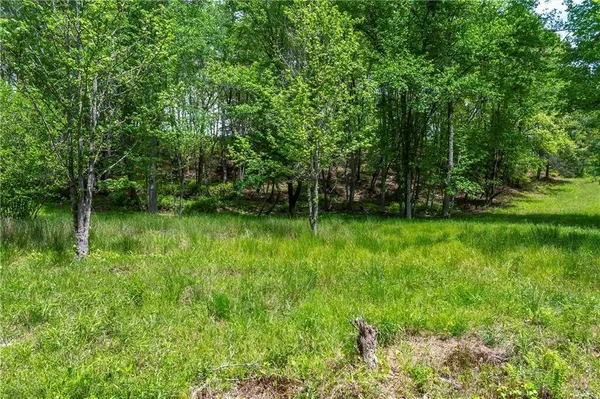 LT5-5a Jonica Gap RD, Mineral Bluff, GA 30559
